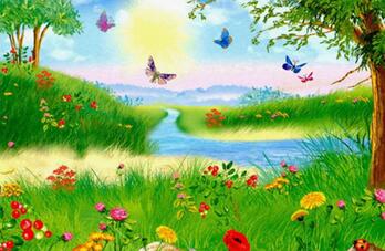 040024fg-ae56-511x334.jpg