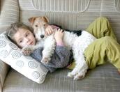 Описание: http://mamulkapro.ru/uploads/posts/2015/1/zhivotnye-i-deti-sekrety-animaloterapii_2.jpg