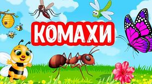 Загадки про комах