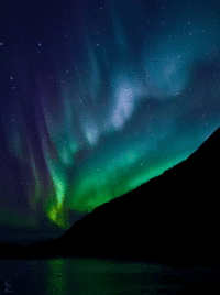 04002c6v-cecb-200x268.gif