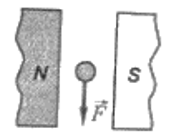 04002cwl-68a8-179x137.png