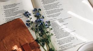 Вступ. Священні книги людства