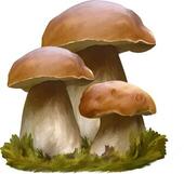 04002iic-f741-170x161.jpg