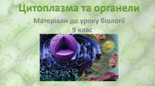 Немембранні органели.