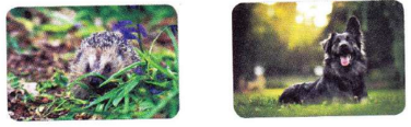 04002q2y-7620-376x116.png