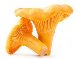 Лисичка, гриб сушеный (Cantharellus cibarius), цена 120 грн - Prom.ua (ID#526471205)