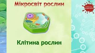 Клітина. Узагальнюючий тест 6кл.