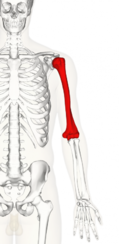 04002ti5-5baf-119x244.png