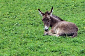 04002uwm-7d64-336x224.jpg