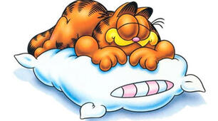 Healthy Lifestyle. Sleep is Important