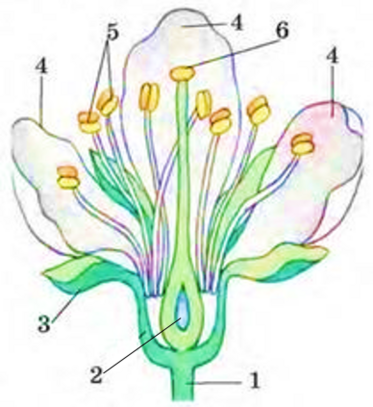 04002yc9-b7b6-373x407.png