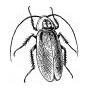 040031b0-c980-87x97.jpg