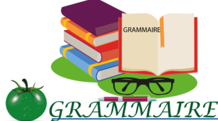 Grammaire (faire de / jouer à)