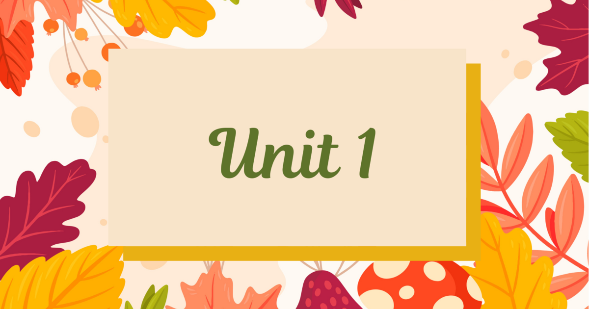 Sol.El. Unit 1E Word Skills. Singular and plural nouns Урок на 32