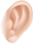 040033cj-8bb2-109x156.png