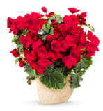 040033e2-d90a-148x160.png