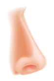040033t2-5dcd-110x165.png