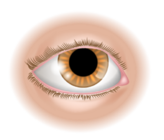 040036c2-8631-164x140.png