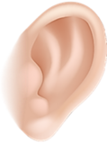 040036dr-5be5-119x169.png