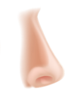 040036ee-8ca5-116x146.png