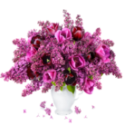 040036f0-3afb-138x138.png