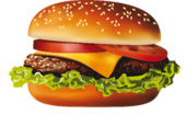 040036fp-14d1-171x115.png