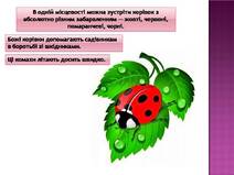04003814-9658-212x159.jpg
