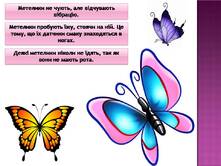 04003815-b40c-221x166.jpg