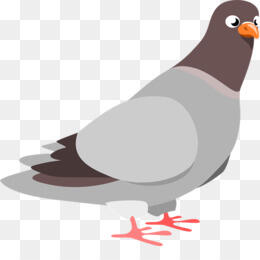 голубь клипарт скачать бесплатно - Columbidae отечественные Компьютерные иконки голубь картинки - голубь клипарт