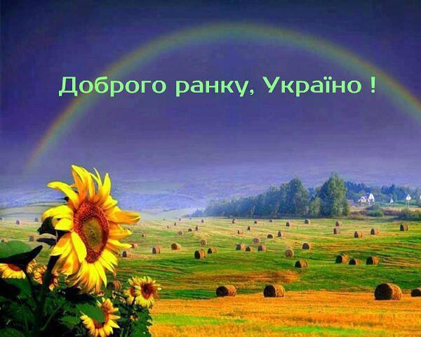 Вранці сонечко прокинулося, Солодко потягнулася, Посміхнулося і знову, Вийшло по небу гуляти! Вдалого дня! Добрих усмішок! | Nature, Good morning, Beautiful roses