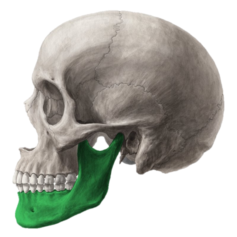 04003cgr-901b-798x798.png
