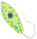 04003d8i-0305-129x135.png