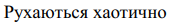 04003fof-7d29-171x24.png