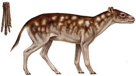 04003fqv-6a05-450x251.jpg