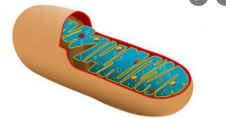 04003ic9-8740-324x171.png