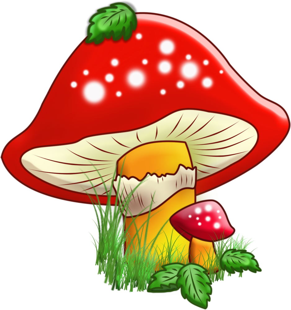 04003jq9-004d-938x1000.png