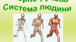 Узагальнення по темі "Опора і рух"