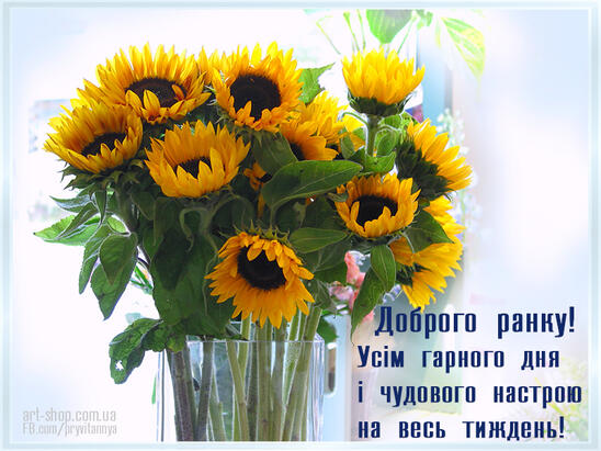 04003qc5-6dc7-548x411.jpg