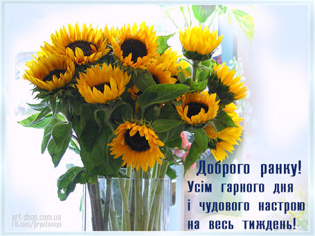 04003quz-27a5-455x341.jpg