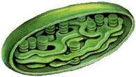 04003rjd-bab3-197x112.jpg