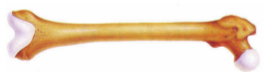 04003rns-19e3-269x72.png
