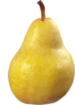 груша PNG фото