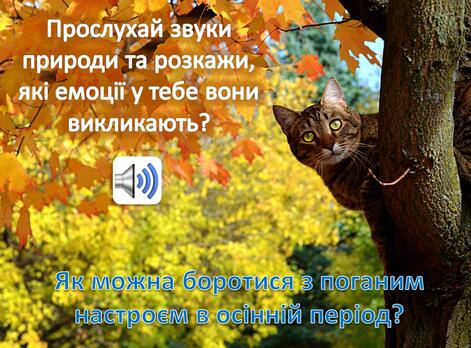04003ym5-acee-471x348.jpg
