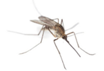04003ywk-e7ed-147x100.png