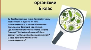 Презентація "Бактерії — найменші одноклітинні організми" для 6 класу