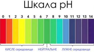 Практична робота 2. Ph середовище