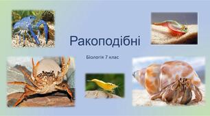 Клас  Ракоподібні. Біологія 7 клас
