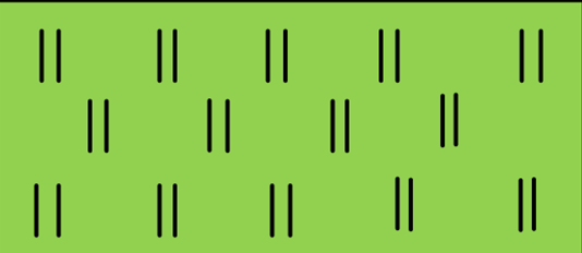 040043vv-49c4-534x232.png