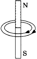 040043y7-f1c3-131x207.png
