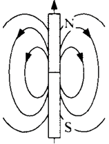 040043ye-3584-158x207.png